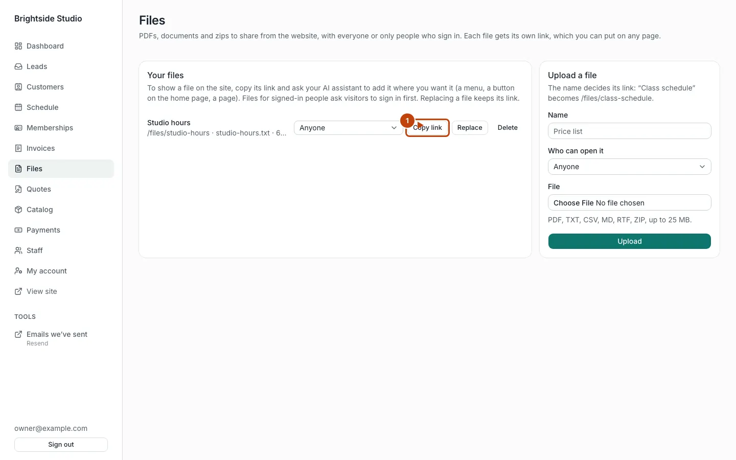 A file row with Copy link marked